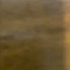 Meet your Posher, George